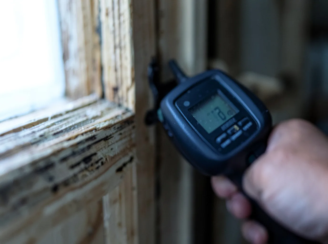 Moisture Inspection And Documentation in Altonah, UT